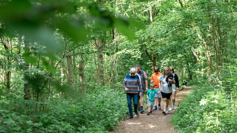 A family walking through a woodland